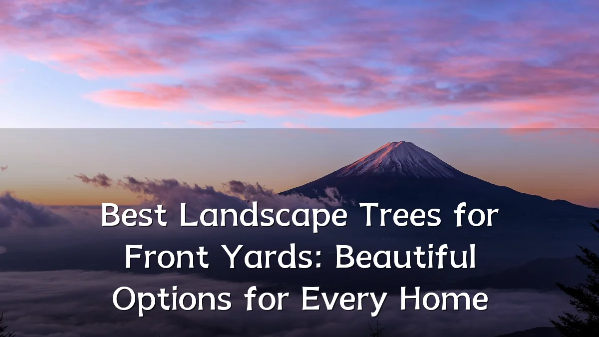 Best Landscape Trees for Front Yards: Beautiful Options for Every Home