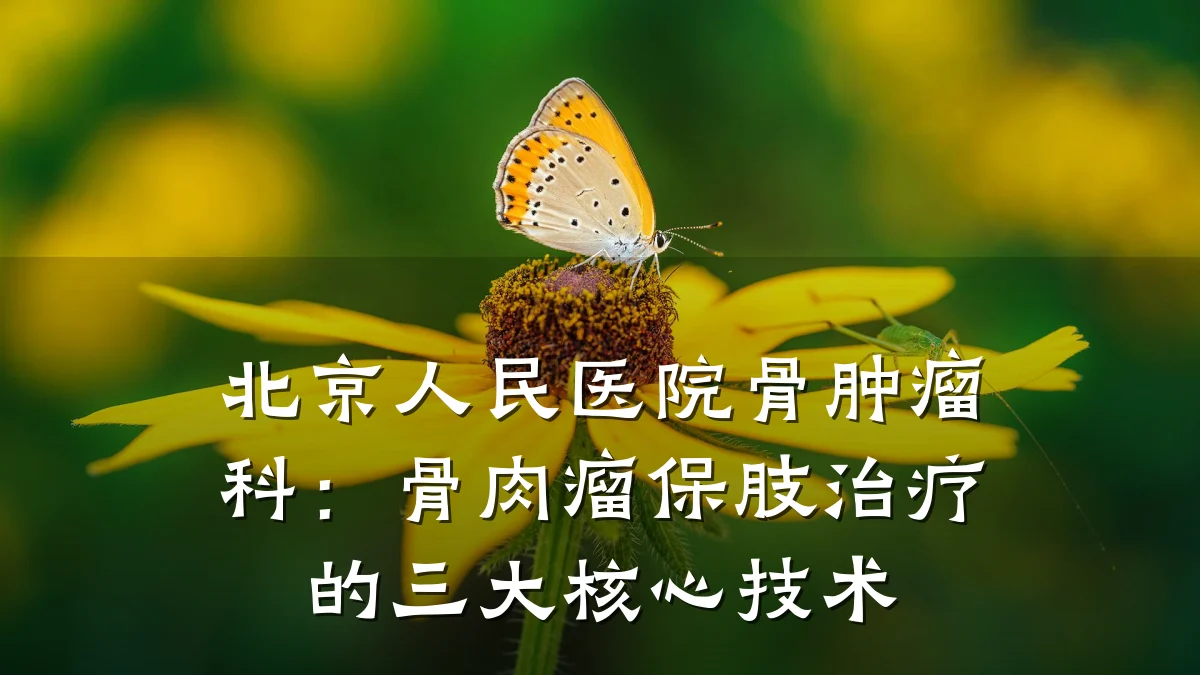 北京人民医院骨肿瘤科:骨肉瘤保肢治疗的三大核心技术