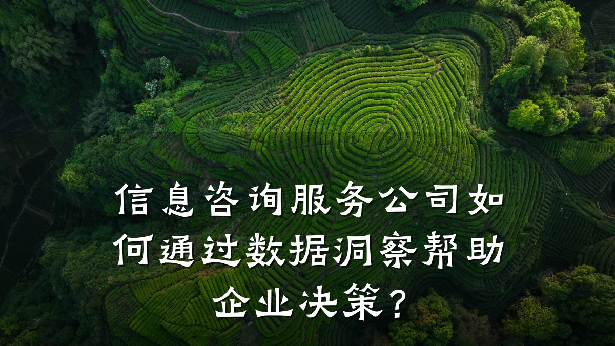 信息咨询服务公司如何通过数据洞察帮助企业决策？