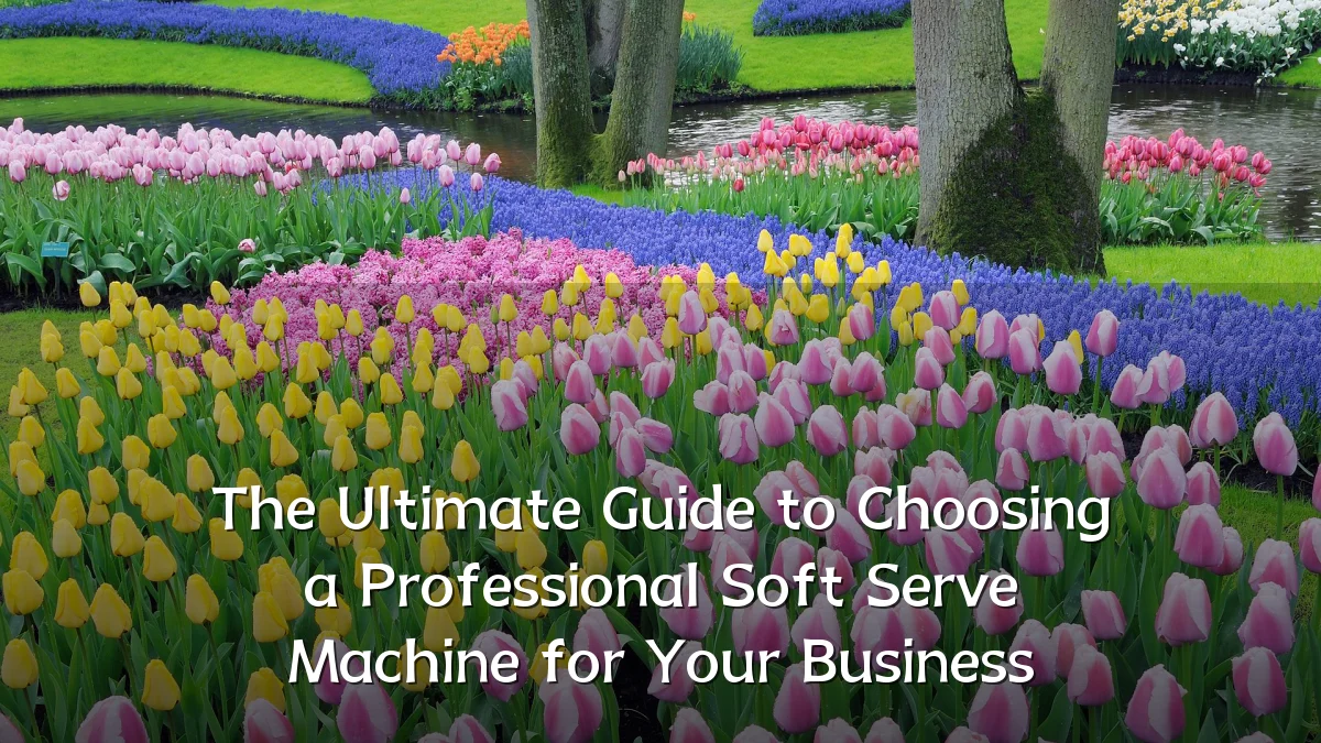 The Ultimate Guide to Choosing a Professional Soft Serve Machine for Your Business