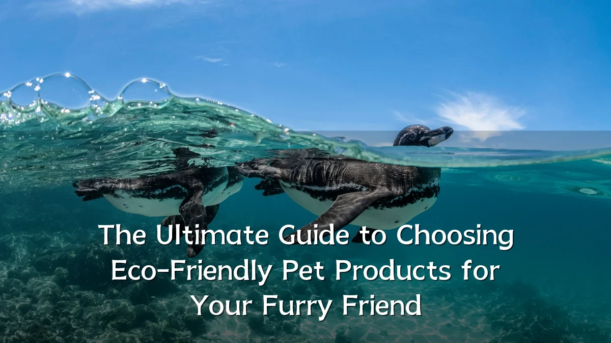 The Ultimate Guide to Choosing Eco-Friendly Pet Products for Your Furry Friend