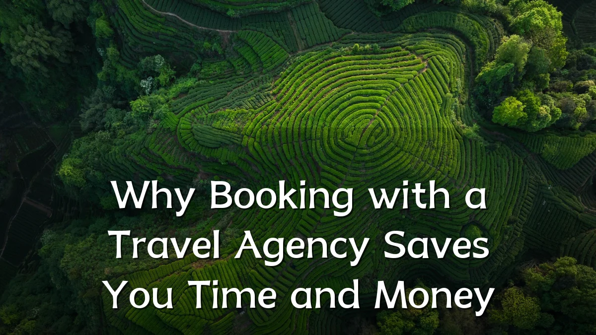 Why Booking with a Travel Agency Saves You Time and Money