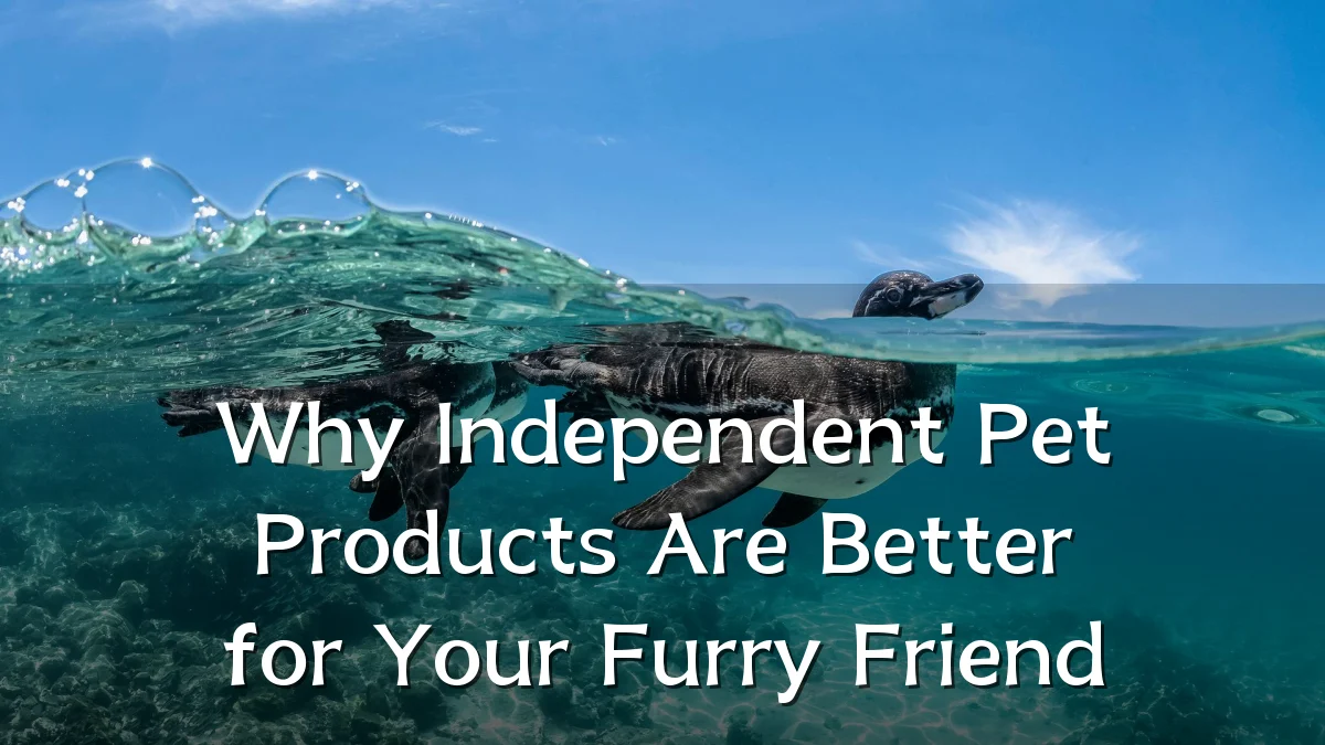 Why Independent Pet Products Are Better for Your Furry Friend