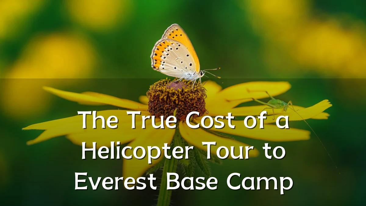 The True Cost of a Helicopter Tour to Everest Base Camp