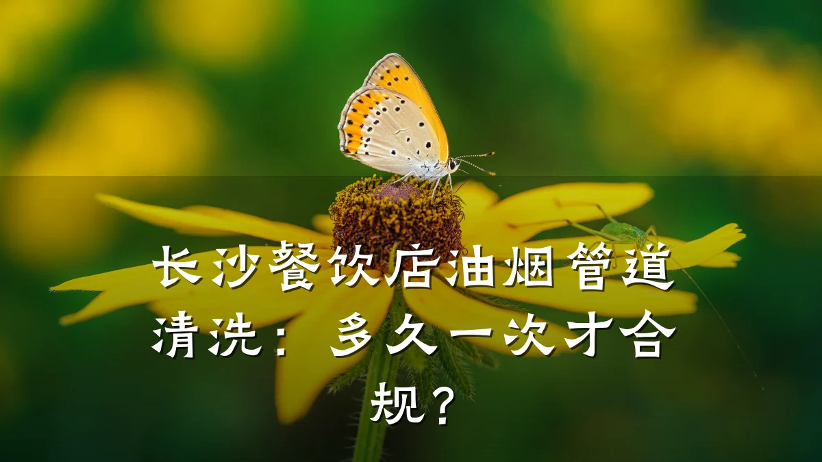 长沙餐饮店油烟管道清洗:多久一次才合规?