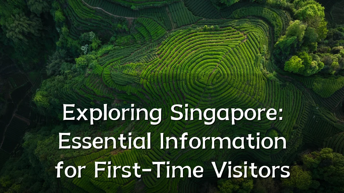Exploring Singapore: Essential Information for First-Time Visitors
