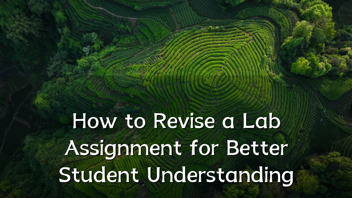 How to Revise a Lab Assignment for Better Student Understanding