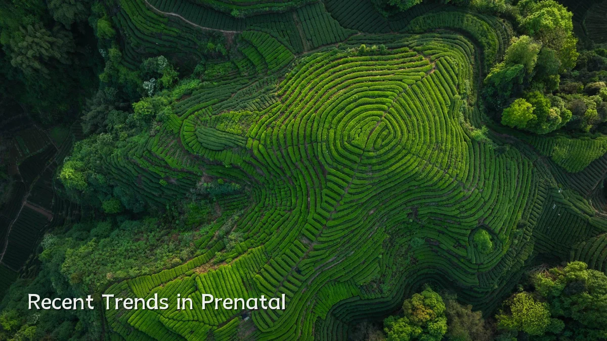 Recent Trends in Prenatal