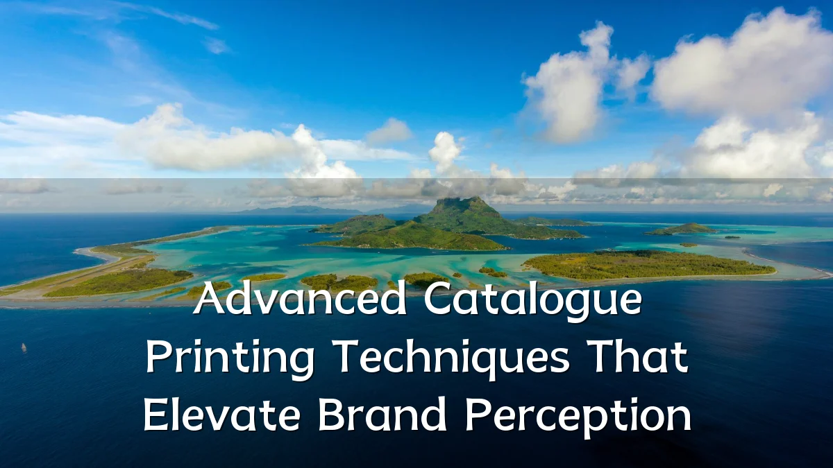 Advanced Catalogue Printing Techniques That Elevate Brand Perception