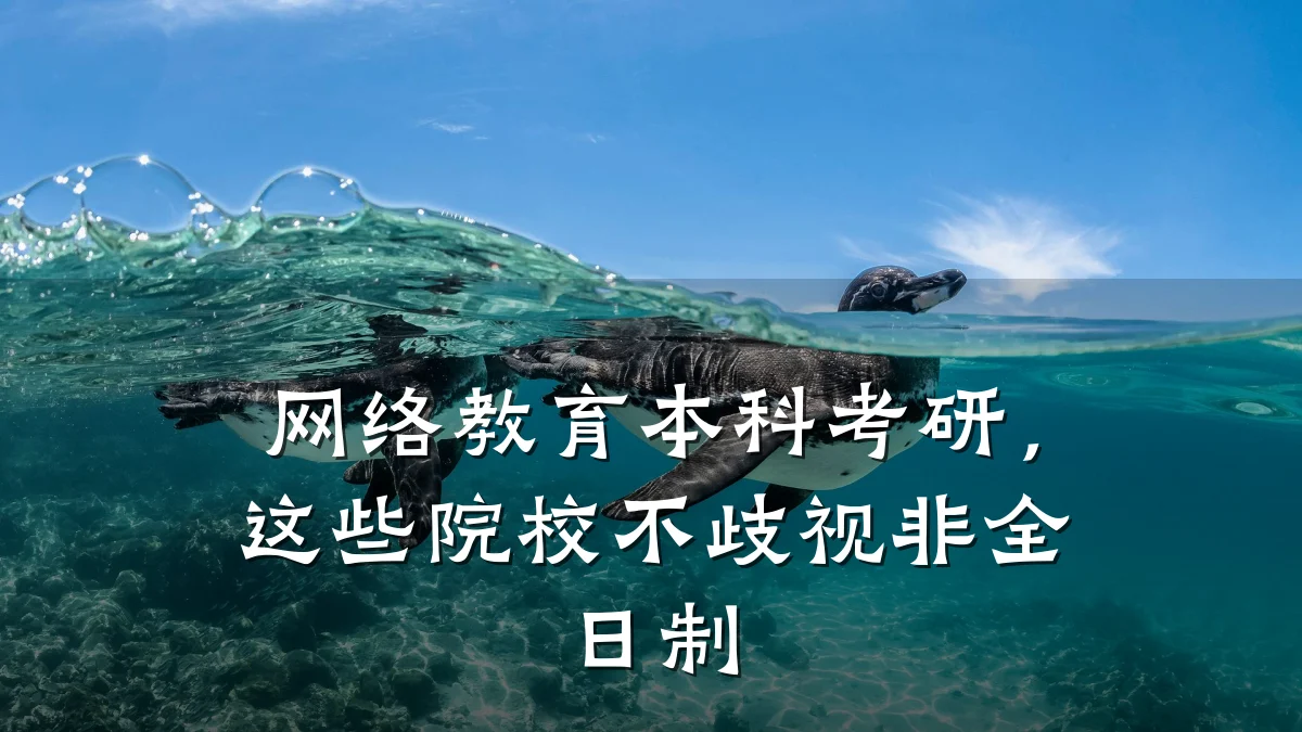 网络教育本科考研，这些院校不歧视非全日制