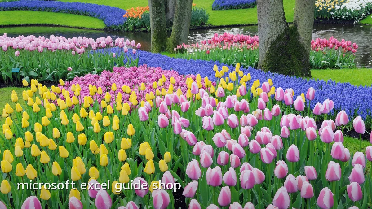 microsoft excel guide shop