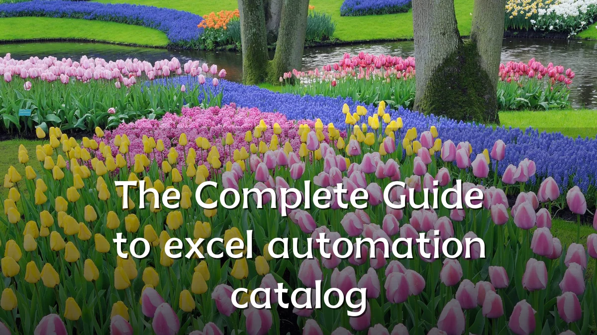 The Complete Guide to excel automation catalog