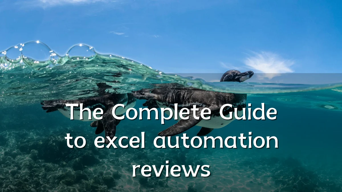 The Complete Guide to excel automation reviews