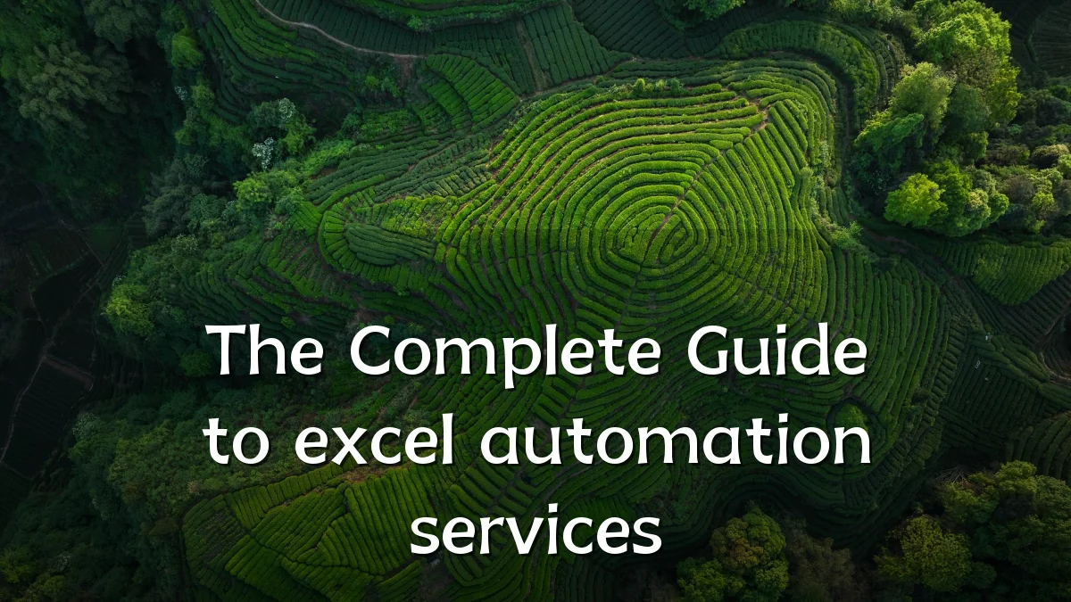 The Complete Guide to excel automation services