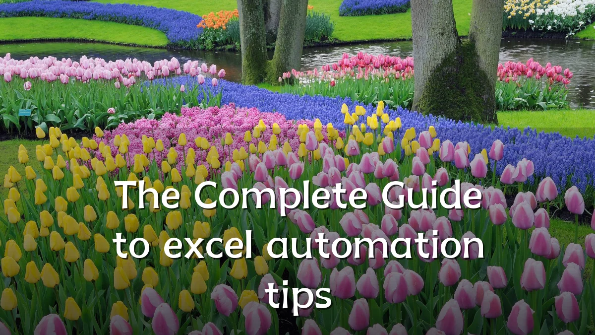 The Complete Guide to excel automation tips