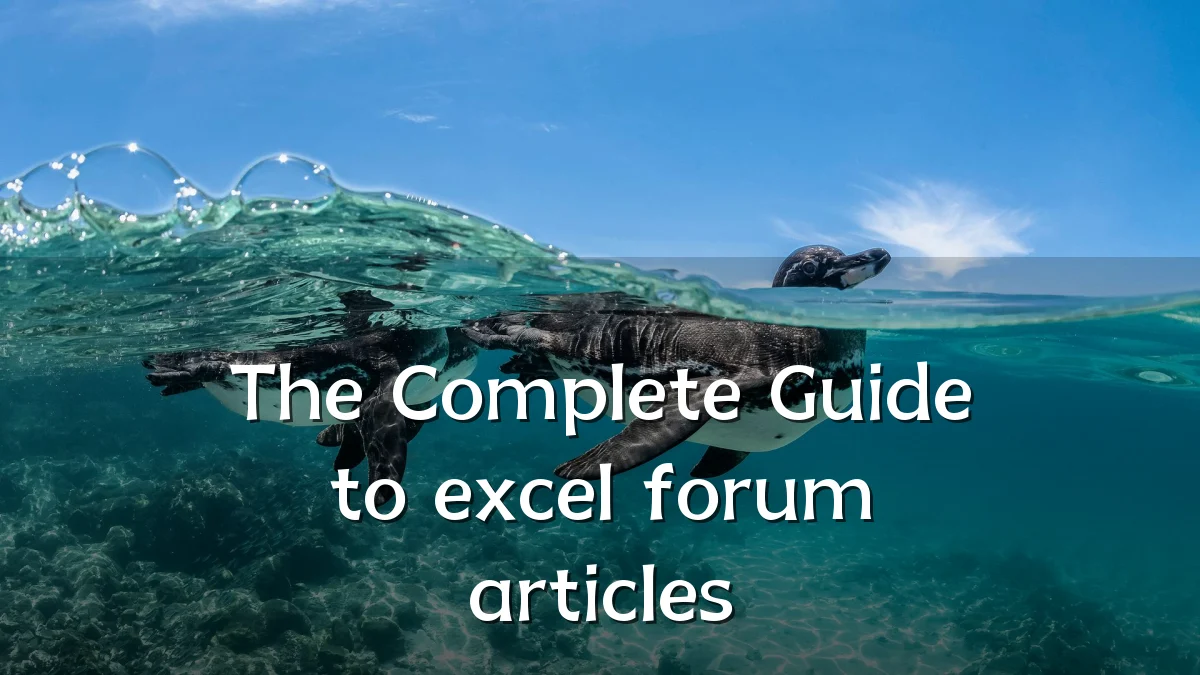 The Complete Guide to excel forum articles