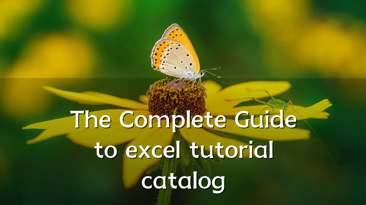 The Complete Guide to excel tutorial catalog