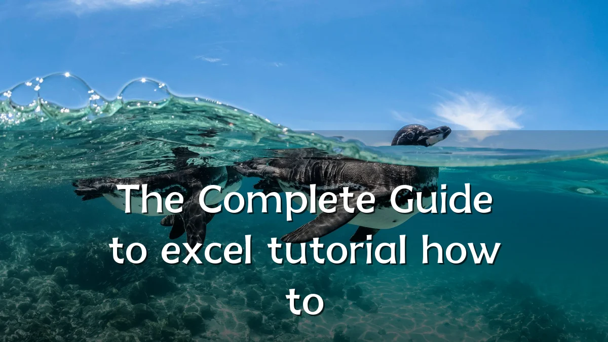 The Complete Guide to excel tutorial how to