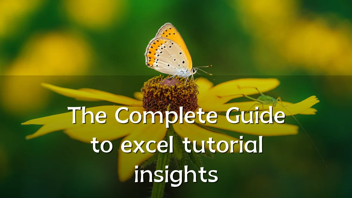 The Complete Guide to excel tutorial insights