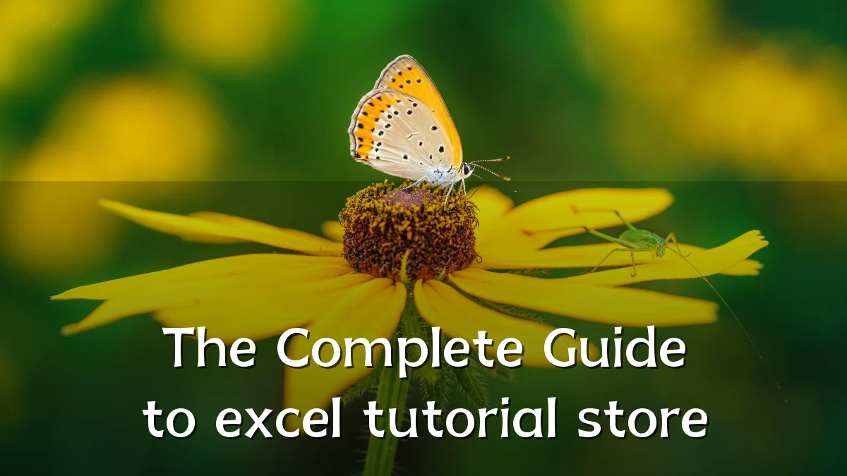 The Complete Guide to excel tutorial store