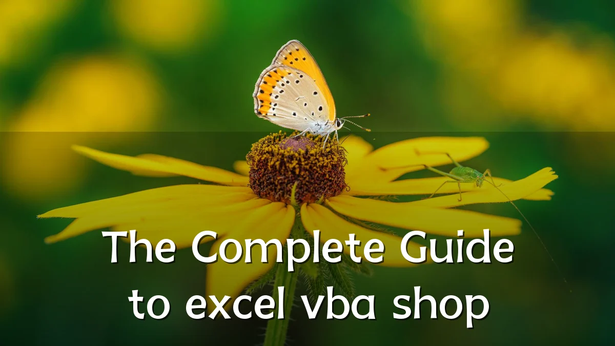 The Complete Guide to excel vba shop