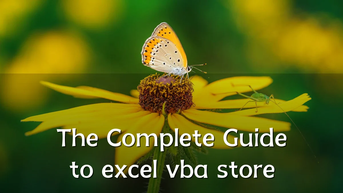The Complete Guide to excel vba store