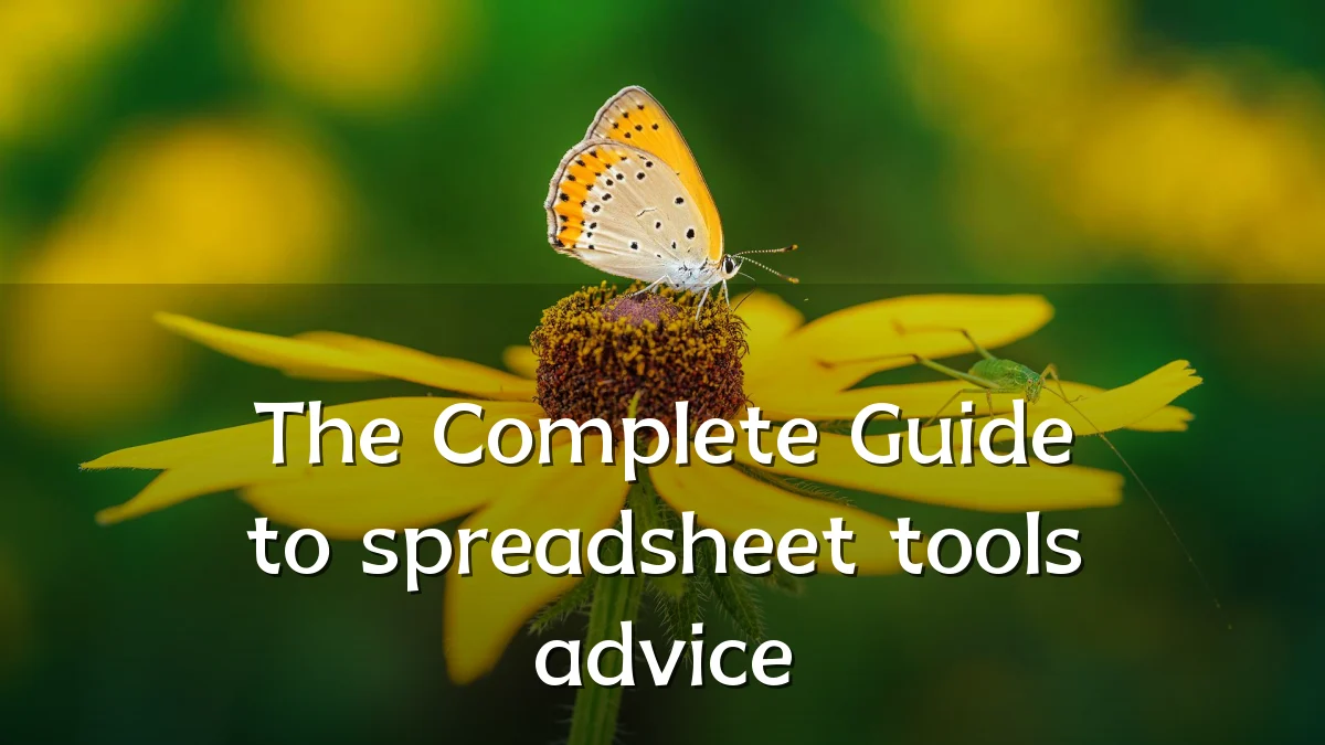 The Complete Guide to spreadsheet tools advice