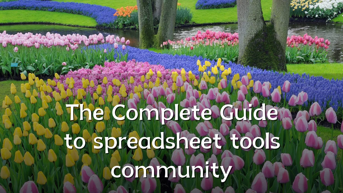 The Complete Guide to spreadsheet tools community