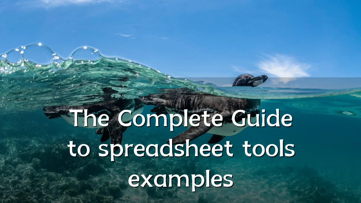 The Complete Guide to spreadsheet tools examples