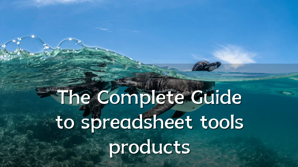 The Complete Guide to spreadsheet tools products