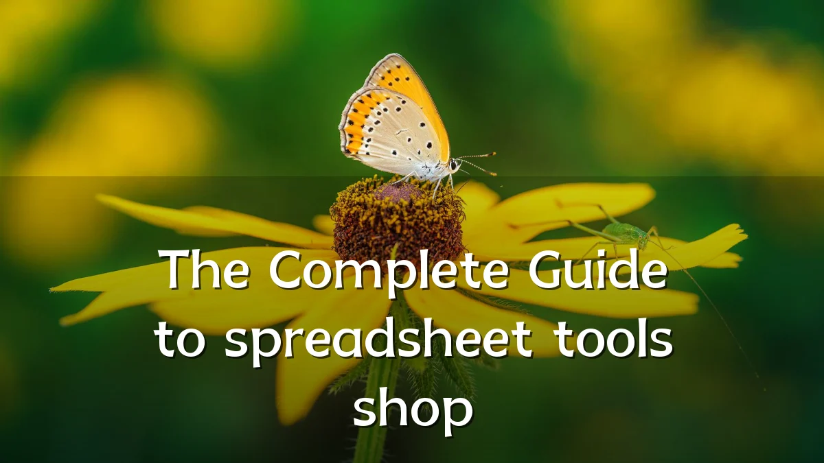 The Complete Guide to spreadsheet tools shop