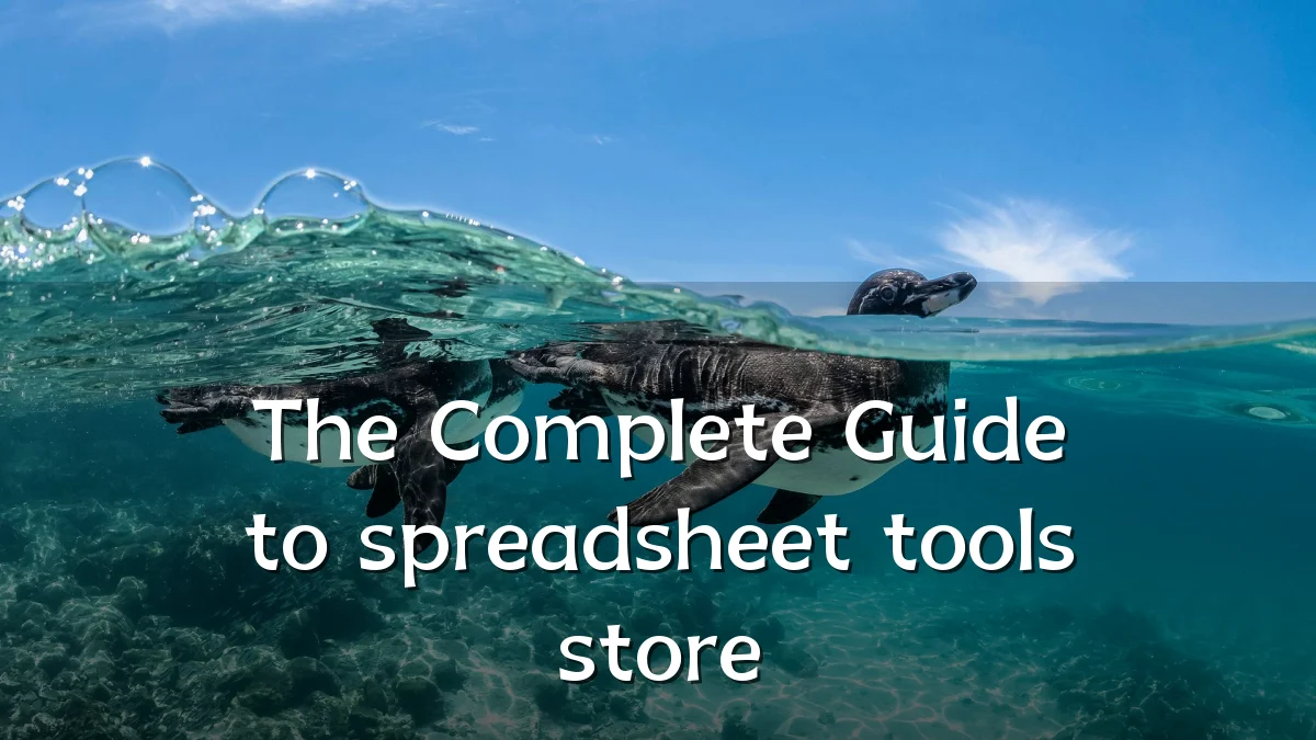 The Complete Guide to spreadsheet tools store