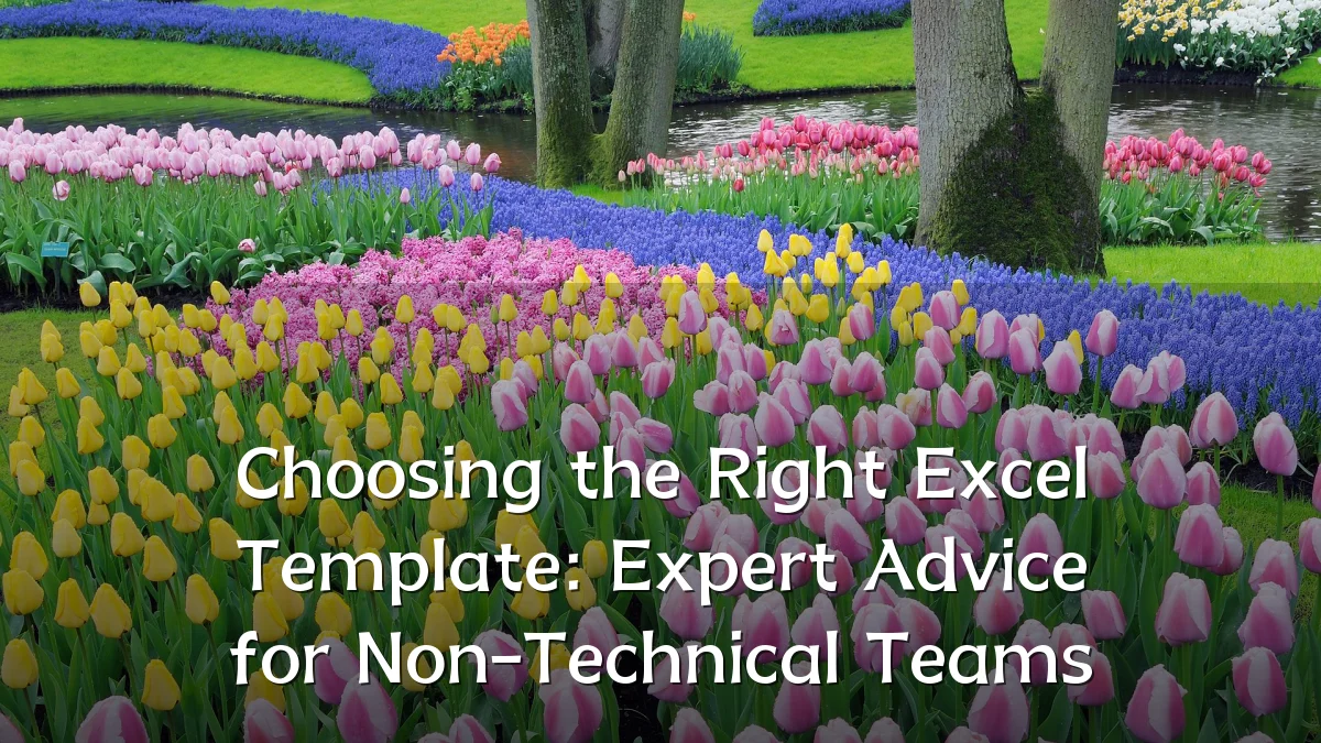 Choosing the Right Excel Template: Expert Advice for Non-Technical Teams