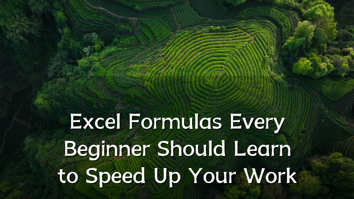 Excel Formulas Every Beginner Should Learn to Speed Up Your Work