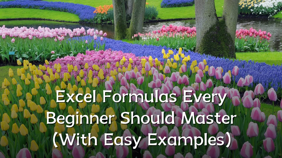 Excel Formulas Every Beginner Should Master (With Easy Examples)