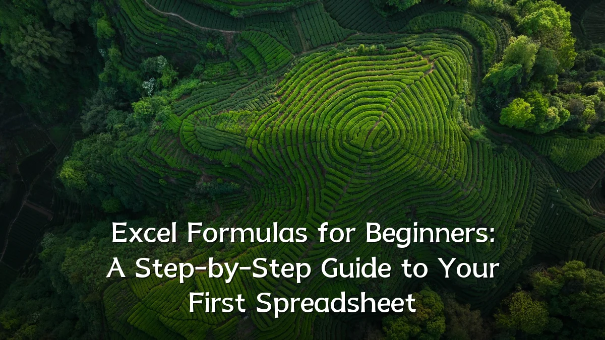 Excel Formulas for Beginners: A Step-by-Step Guide to Your First Spreadsheet