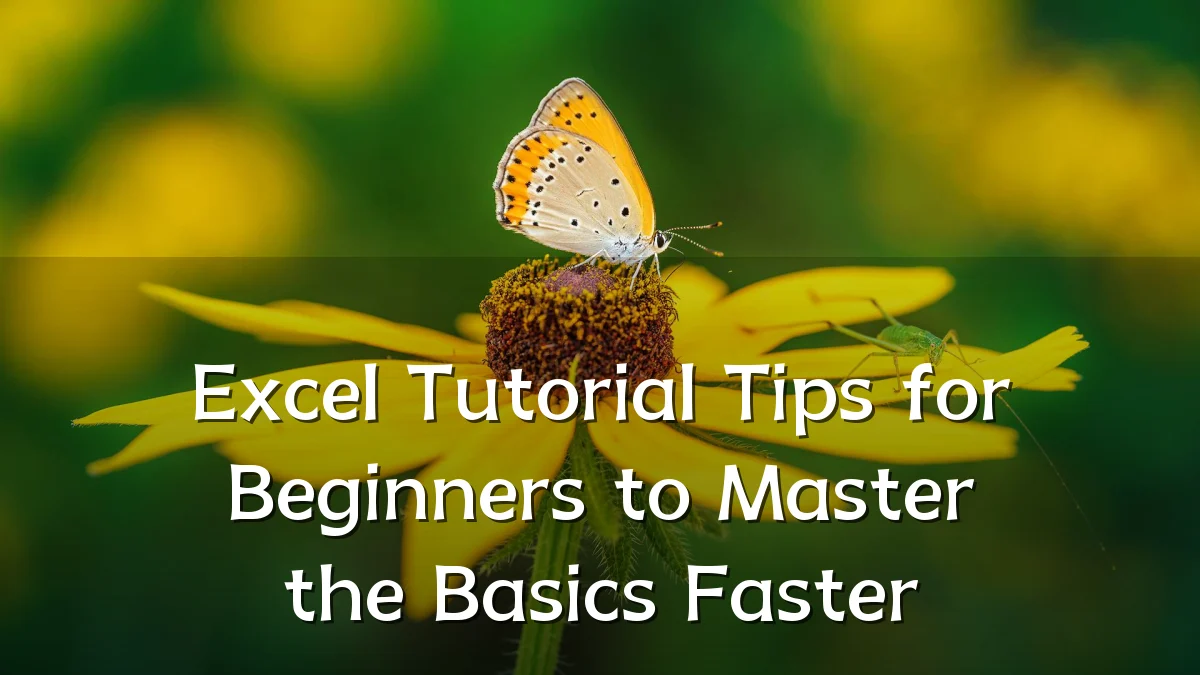 Excel Tutorial Tips for Beginners to Master the Basics Faster