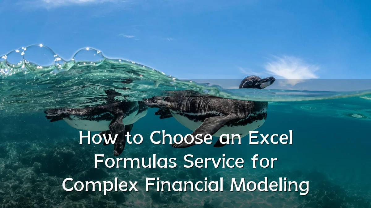 How to Choose an Excel Formulas Service for Complex Financial Modeling