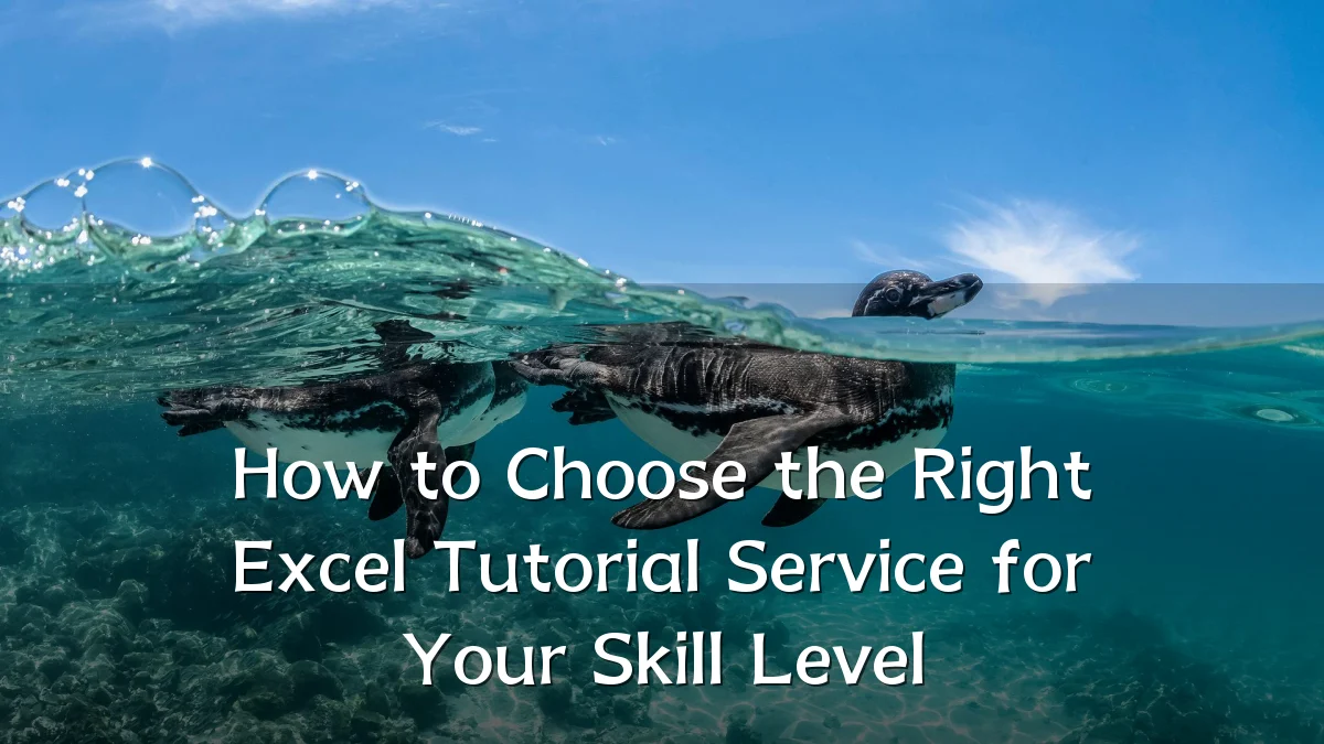 How to Choose the Right Excel Tutorial Service for Your Skill Level