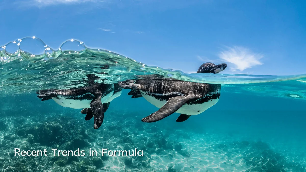 Recent Trends in Formula
