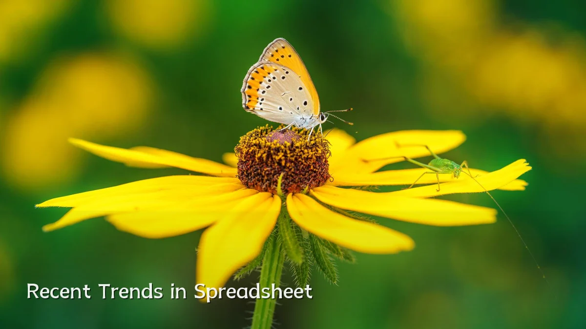 Recent Trends in Spreadsheet