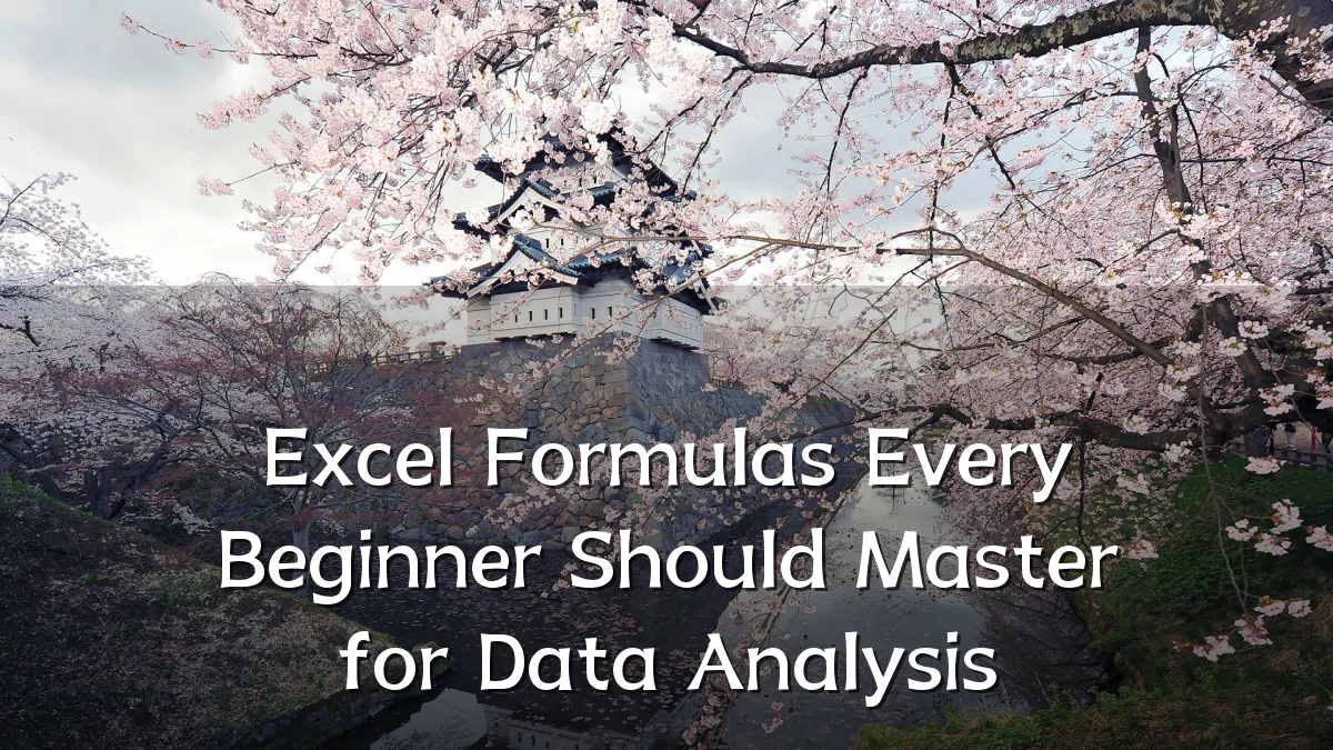 Excel Formulas Every Beginner Should Master for Data Analysis