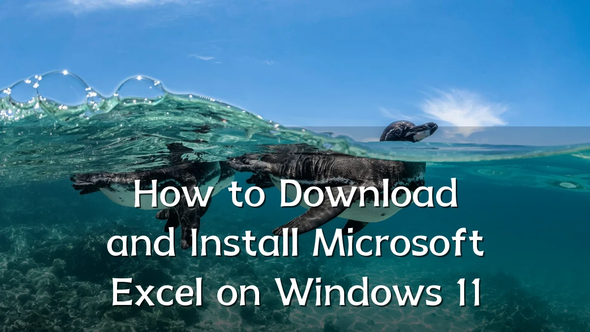 How to Download and Install Microsoft Excel on Windows 11