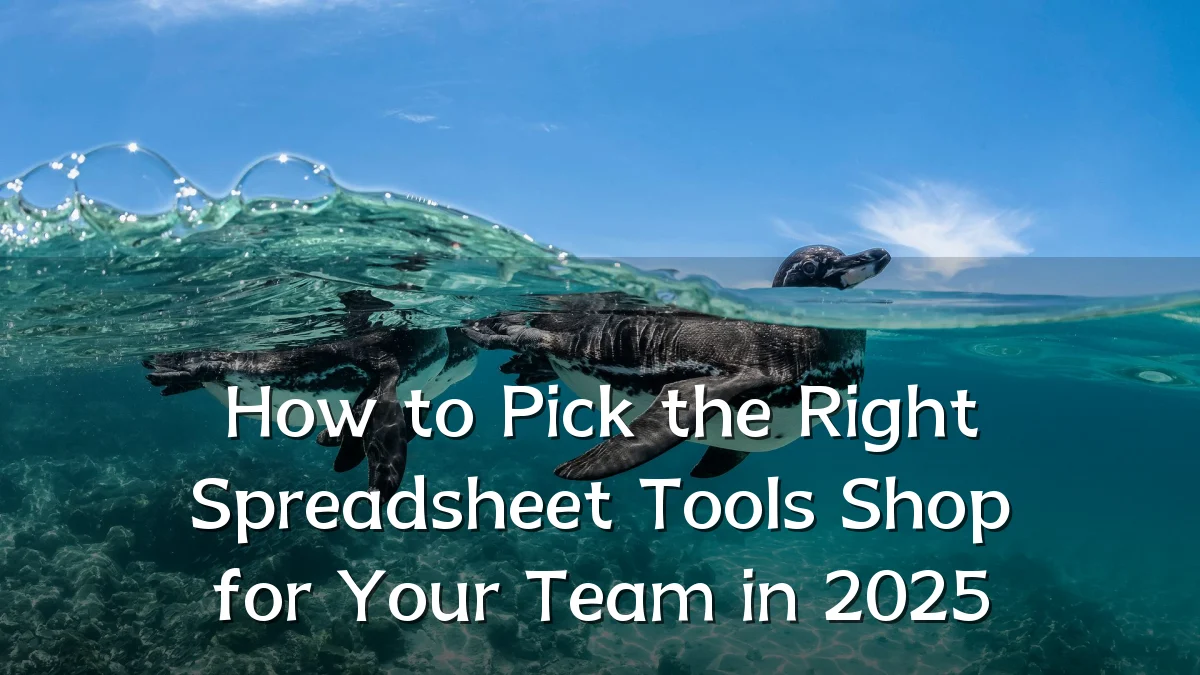 How to Pick the Right Spreadsheet Tools Shop for Your Team in 2025