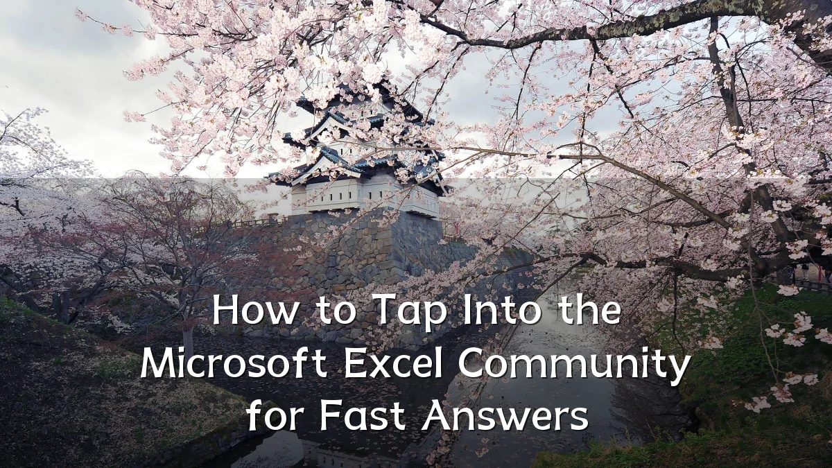 How to Tap Into the Microsoft Excel Community for Fast Answers