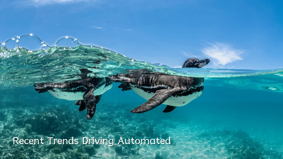 Recent Trends Driving Automated