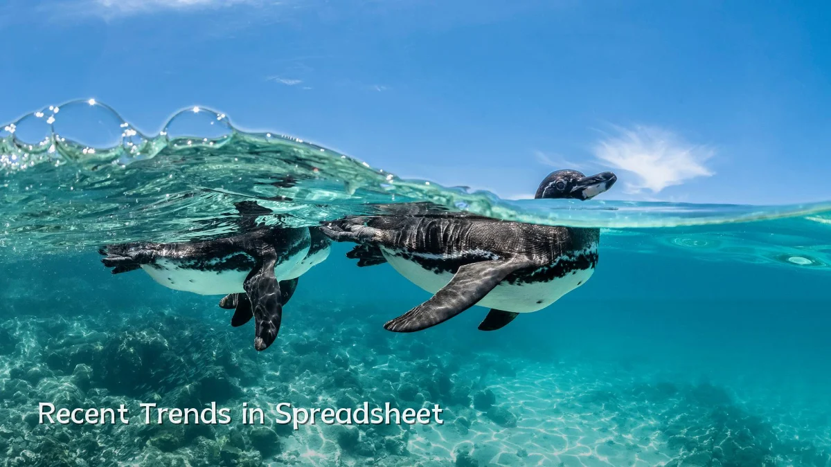 Recent Trends in Spreadsheet