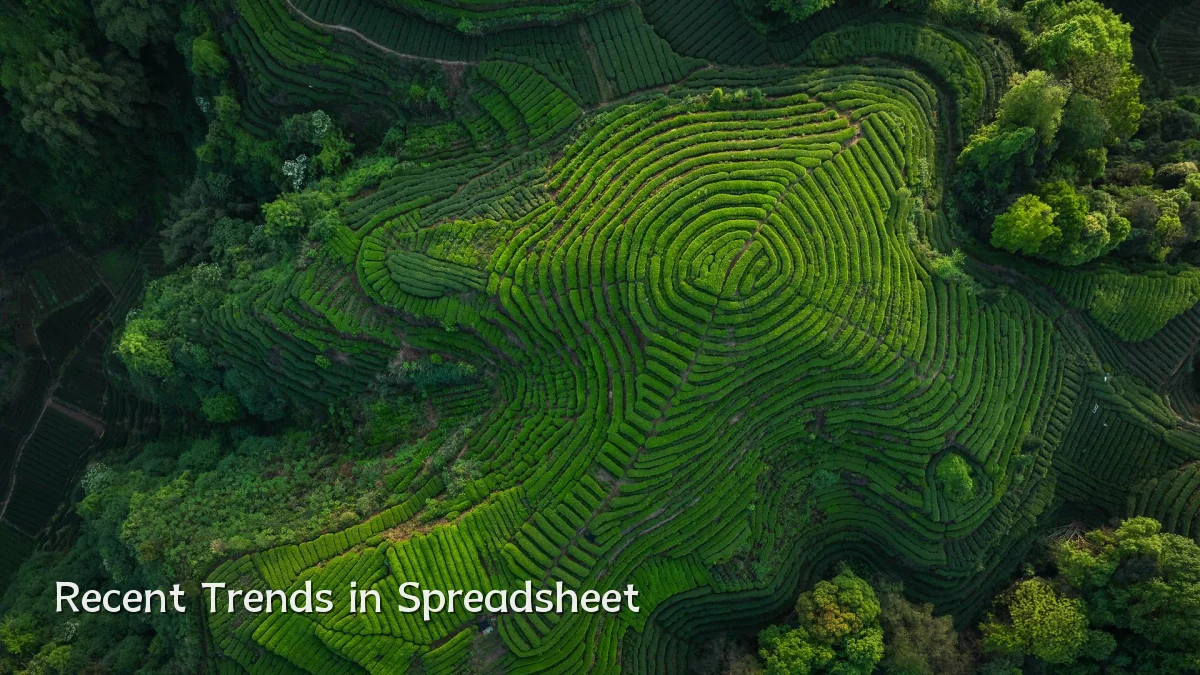 Recent Trends in Spreadsheet