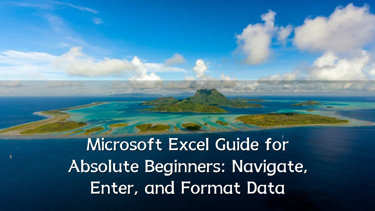 Microsoft Excel Guide for Absolute Beginners: Navigate, Enter, and Format Data