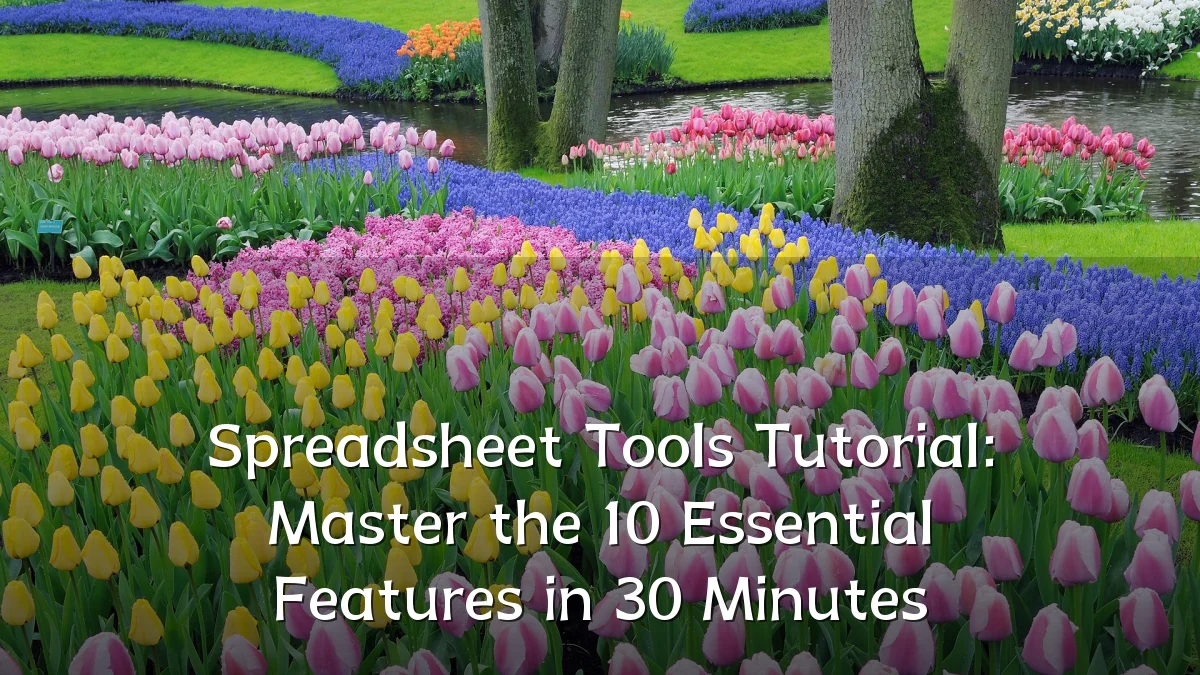 Spreadsheet Tools Tutorial: Master the 10 Essential Features in 30 Minutes